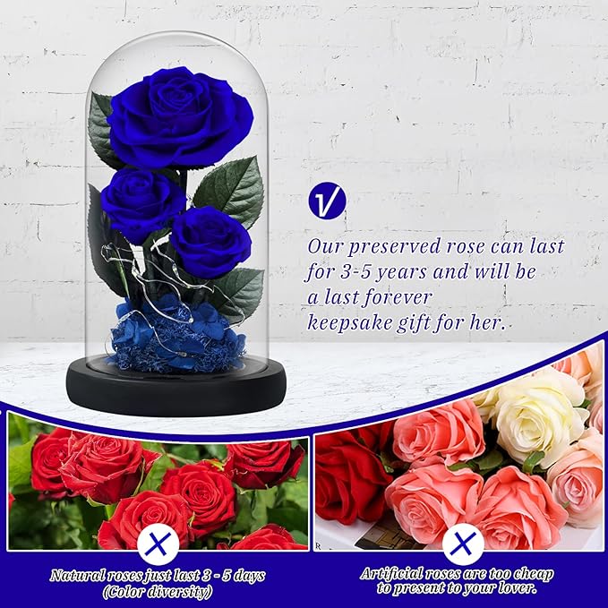3 Preserved Flowers Roses in Glass Dome with Light for Beauty and The Beast Decor Real Rosas Eternas for Women Mom Birthday,Forever Blue Roses for Delivery,Christmas for Wife Girlfriend Her