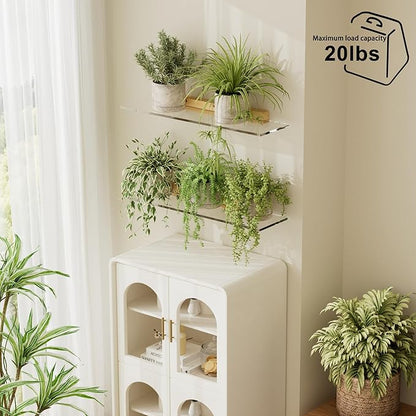 QsQueen Acrylic Floating Shelves with Solid Wood Base, Wall Mounted Shelf for Plants, Perfume, Nail Polish, Bathroom, Bedroom & Living Room Décor