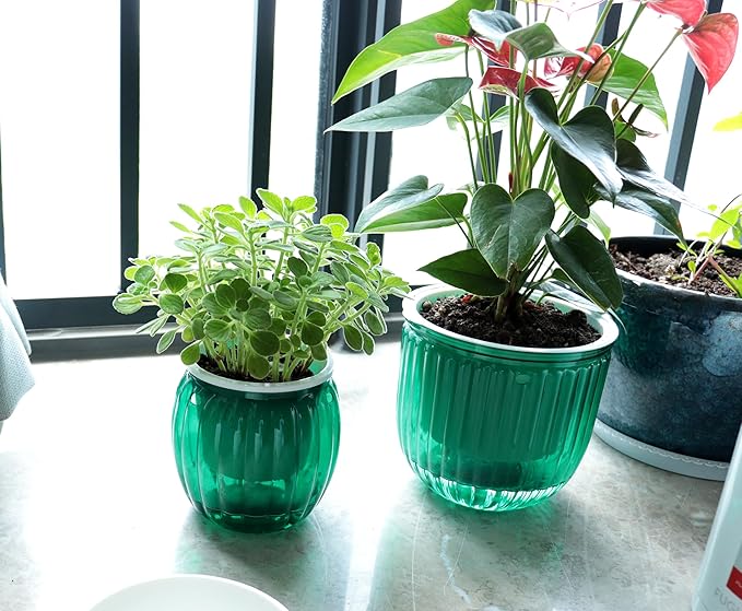 Meicynhoger 4-Pack Plastic Self-Watering Hanging Planter for Snake Plant,Succulents,African Violets - 4.3" Clear Flower/Plant Pot with Hooks for Indoor Outdoor,Table, Balcony, Wall,Garden Green