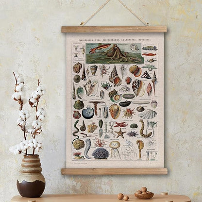 XIAOAIKA Vintage Zoology Poster - Illustrated Invertebrates and Marine Life Chart with Wooden Frame - Educational Biology Wall Art for Science Classrooms and Nature Enthusiasts 20 x 30 inches