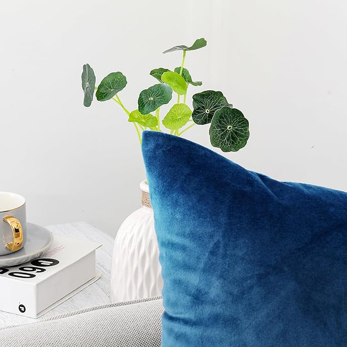 NiNi ALL Decorative Throw Pillow Covers Velvet 30x30 Inch Pack of 2 Blue Cushion Covers Soft for Couch Sofa Bedroom Living Room Outdoor