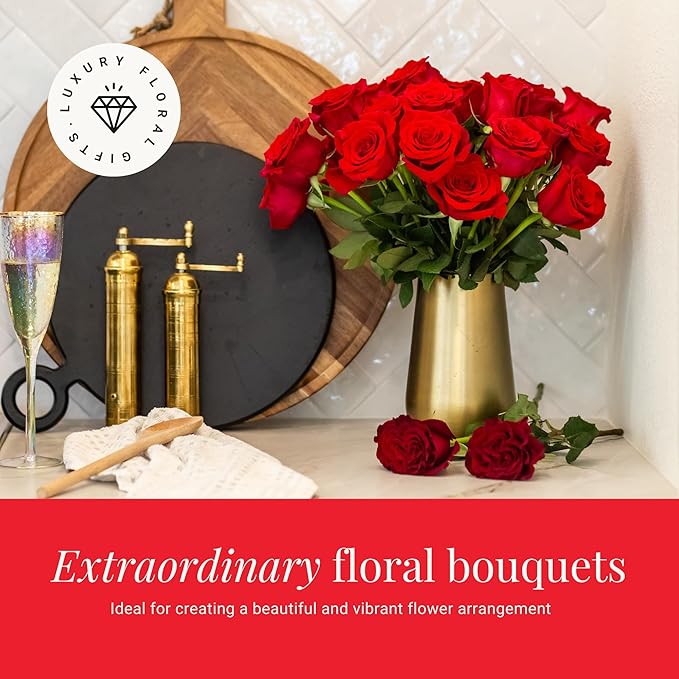 BloomsyBox - Red Roses - 24 Long Stems,Long Lasting, Hand-Tied in Eco-friendly,Vase Not Included, Fresh Flowers for Delivery – Gift for Birthday, Anniversary,Congratulations, Wedding