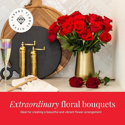 BloomsyBox - Red Roses - 24 Long Stems,Long Lasting, Hand-Tied in Eco-friendly,Vase Not Included, Fresh Flowers for Delivery – Gift for Birthday, Anniversary,Congratulations, Wedding