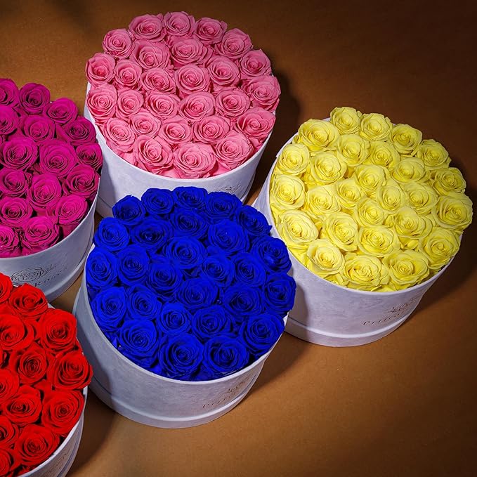 27 Flowers in a Luxury Suede Box, Birthday Gifts for Women, Preserved Flowers, Mothers Day Roses Gift for Mom, Light Pink