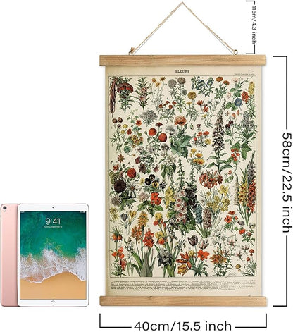XIAOAIKA Vintage Wildflower Hanging Poster with Wooden Frame, Retro Style Wall Decor Detailed Floral Illustration- Educational Botany Wall Art for Gardeners Home Decor Classroom 16 x 23 Inches