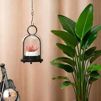 7.5" High Versatile Modern Metal Hurricane Lantern with Handmade Sturdy Glass Dome in Black for 2" Pillar Candle & Plants, for Living Room, Porch, Mantel Decoration (Black, 4" x7.5 for 2" Pillar)