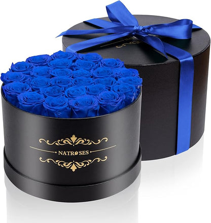 NATROSES 27 Piece Forever Preserved Roses in a Box, Preserved Flowers for Delivery Birthday, Flowers Gifts for Mothers Day, Royal Blue