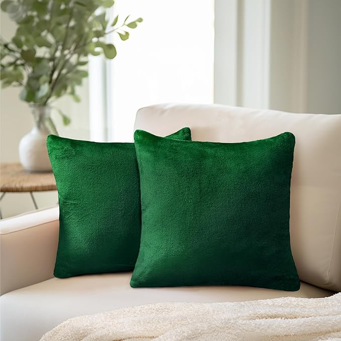 PAVILIA Emerald Green Throw Pillow Covers 18x18 Set of 2, Decorative Pillow Cases for Bed Sofa Couch, Boho Aesthetic Accent Decor Cushion Bedroom Living Room, Velvet Square Euro Sham Cover, Dark Green