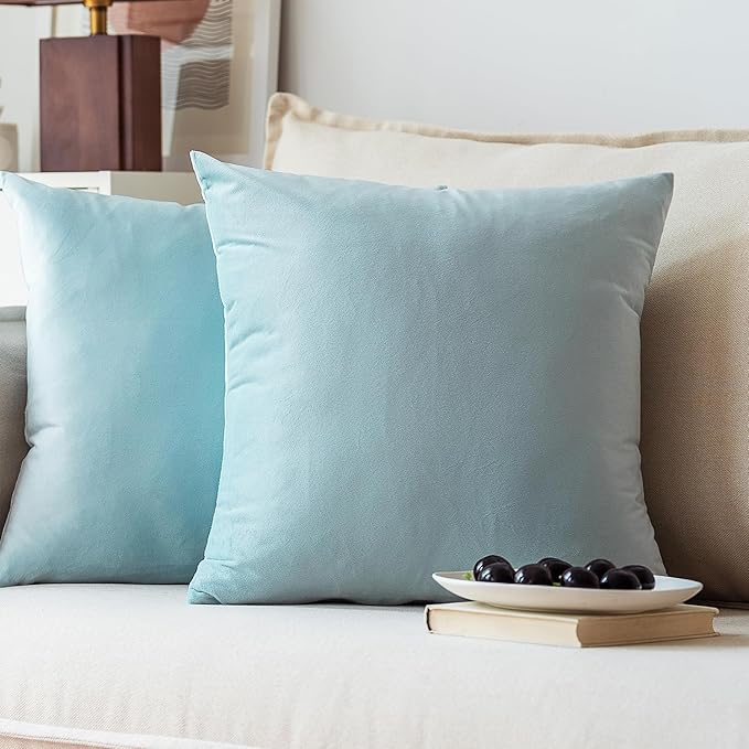 NiNi ALL Decorative Throw Pillow Covers Pack of 2, Velvet Throw Pillow Cases for Couch Pillows Cover Bedroom Living Room Outdoor Pillow Covers 22x22 Inch Baby Blue