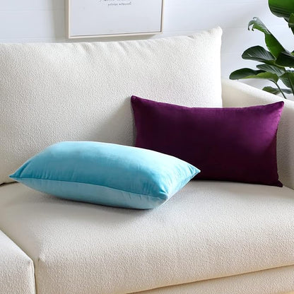 Artscope Luxury Velvet Pillow Covers Super Soft Decorative Square Throw Pillow Covers Case Cushion Covers for Sofa Couch Bedroom Car Decor 12x20 Inch Eggplant Purple