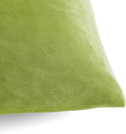 20x20 Velvet Pillow Covers Set of 2 Grass Green Decorative Square Throw Pillowcase Soft Solid Cushion Covers for Bedroom Living Room Outdoor Indoor Decoration