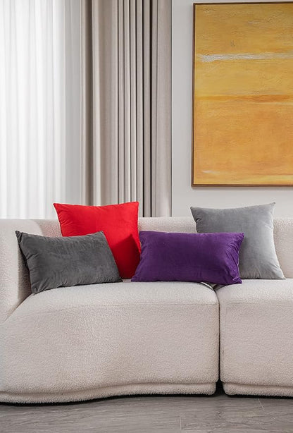 Throw Pillow Covers 12x20 Dark-Grey: 2 Pack Cozy Soft Velvet Rectangular Decorative Pillow Cases for Farmhouse Home Decor