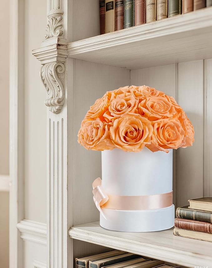 Preserved Roses Dome in a Box, Forever Real Roses Decor, Eternal Flowers for Delivery Prime, Best Gifts Birthday, Wedding, Anniversary, Mother's Day, Christmas for Her, 18-Pieces (Champagne)