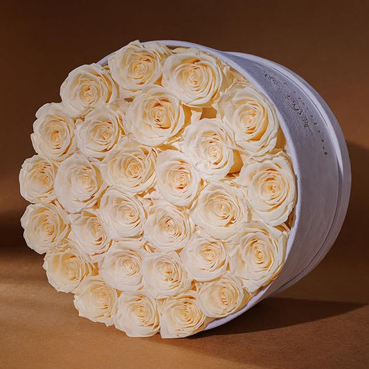 27 Flowers in a Luxury Suede Box, Birthday Gifts for Women, Preserved Flowers, Mothers Day Roses Gift for Mom, Champagne