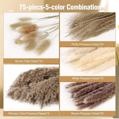 N&T NETING Dried Pampas Grass Decor- White Pampas Grass, Brown Pampas, Bunny Tail, Reed, Fluffy Dried Pompas Grass Flower for Home Wedding Table Vase Boho Modern Decor, 75Pcs