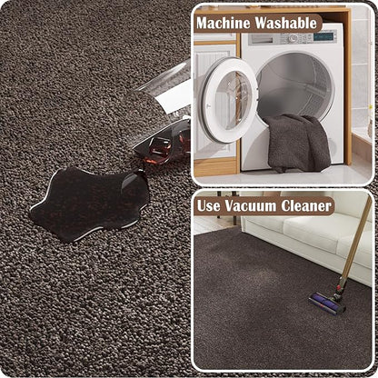 jinchan Solid Plush Area Rug 3x5 Performance Shaggy Washable Rug Indoor Soft Modern Faux Wool Cozy Non Slip Carpet for Living Room Kids Room Bedroom Dining Room Nursery Brown