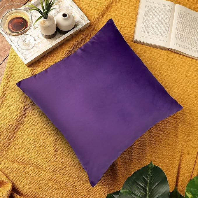 RELY+ Pack of 2 Throw Pillow Covers 16x16 Inch Velvet Soft Cozy Solid Decoration Gifts Pillow Covers Luxury Cushion Case for Sofa Couch Bedroom Living Room (Purple, 20 x 20)