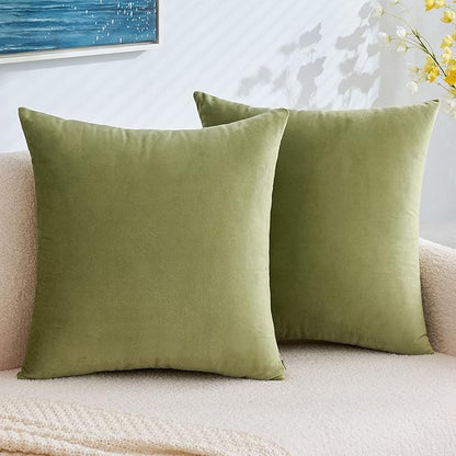 EMEMA Pack of 2 Velvet Pillow Covers Decorative Square Pillowcase Soft Solid Cushion Case for Sofa Bedroom Car 18x18 Inch Sage Green