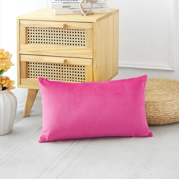 Artscope Luxury Velvet Pillow Covers Decorative Rectangle Pillowcases Soft Solid Cushion Cases for Couch Sofa Bedroom Car Decor 16x24 Inch Hot Pink