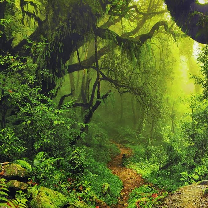 Leofanger Misty Forest Tapestry Nature Green Tree Wall Tapestry Virgin Rainforest Landscape Wall Hanging for Bedroom Living Room (51.2" × 59.1")