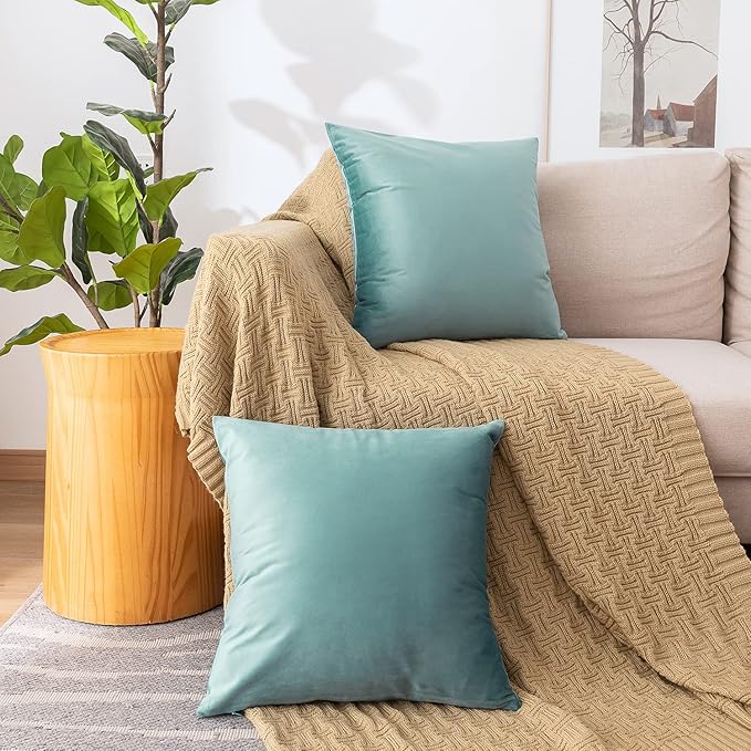 NiNi ALL Decorative Throw Pillow Covers Pack of 2, Velvet Cushion Case for Couch Bedroom Living Room Outdoor, Pillow Covers 16x16 Inch（40 x 40 cm） Light Blue