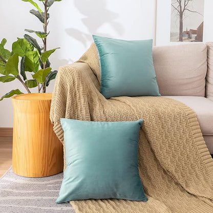 NiNi ALL Decorative Throw Pillow Covers Pack of 2, Velvet Cushion Case for Couch Bedroom Living Room Outdoor, Pillow Covers 18x18 Inch（45 x 45 cm） Light Blue