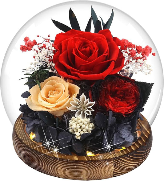 Birthday Gifts for Women Preserved Red Real Rose Flowers in Glass Dome, Forever Rose Valentines Day Gift for Her Mom on Christmas Birthday Flowers for Delivery Prime