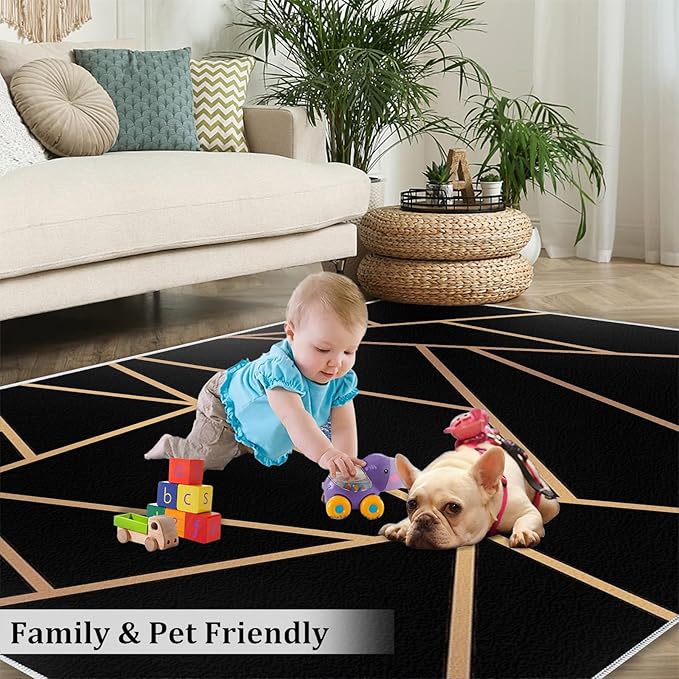 Nordic Black Gold Geometric Texture Area Rug, Abstract Golden Irregular Line Art Indoor Non-Slip Kids Rugs, Machine Washable Breathable Durable Carpet for Front Entrance Floor Decor,5 x 7ft