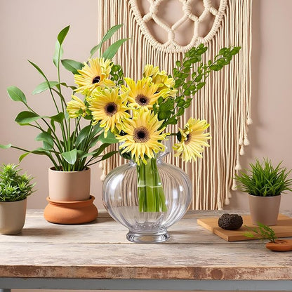 Large Glass Vases for Centerpieces Wide Big Ribbed Vase Hyacinth Bulb Avocado Clear Vases for Table Decorations Modern Thickness for Wedding Home Living Room Decor 7.63'' Width x 8.66''Height