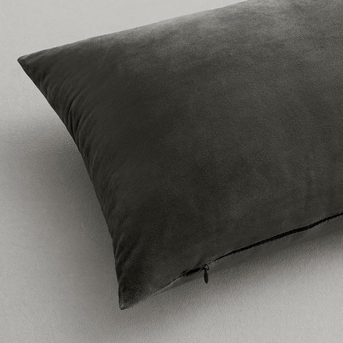 MIULEE Velvet Throw Pillow Covers 22x22 Inch, Pack of 2 - Dark Grey, Soft Solid Decorative Pillow Covers Cushion Cases Modern Luxury Home Decor for Couch Sofa Bedroom Livingroom