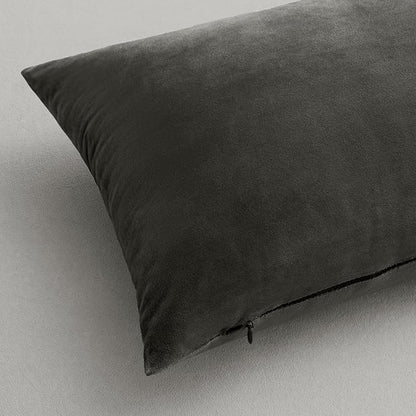 MIULEE Velvet Throw Pillow Covers 22x22 Inch, Pack of 2 - Dark Grey, Soft Solid Decorative Pillow Covers Cushion Cases Modern Luxury Home Decor for Couch Sofa Bedroom Livingroom