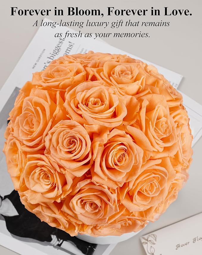 Preserved Roses Dome in a Box, Forever Real Roses Decor, Eternal Flowers for Delivery Prime, Best Gifts Birthday, Wedding, Anniversary, Mother's Day, Christmas for Her, 18-Pieces (Champagne)