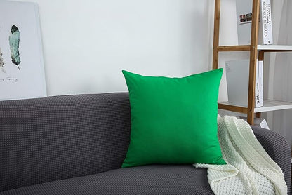 TangDepot Set of 2 Handmade Decorative Solid 100% Cotton Canvas Throw Pillow Covers/Cushion Covers, 45 Colors Available - (20"x20" 2 Pieces, Bright Green)