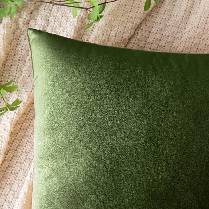 EMEMA Pack of 2 Velvet Throw Pillow Covers Decorative Square Pillowcase Soft Solid Cushion Case for Sofa Bedroom Chair Car 24x24 Inch Moss Green