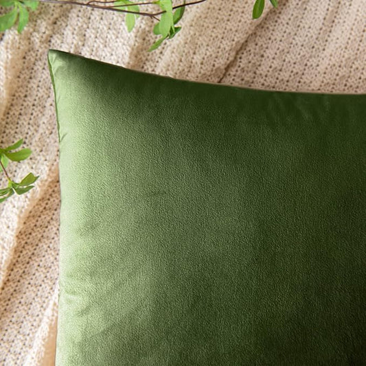 EMEMA Pack of 2 Velvet Throw Pillow Covers Decorative Square Pillowcase Soft Solid Cushion Case for Sofa Bedroom Chair Car 20x20 Inch Moss Green