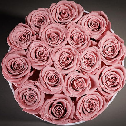 17 Flowers in a Luxury Suede Box, Birthday Gifts for Women, Preserved Flowers, Mothers Day Roses Gift for Mom, Dusty Rose