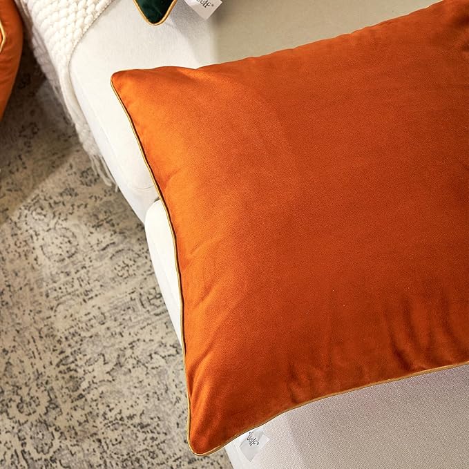 Aeckself Pack of 2 Burnt Orange Velvet Pillow Covers 20 x 20 Inch, Modern Luxury Decorative Pillowcase with Gold Trim Edge, Comfortable Soft Solid Cushion Case for Couch Bedroom Living Room