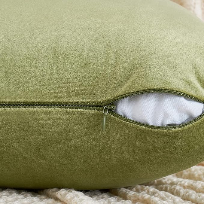 EMEMA Pack of 2 Velvet Pillow Covers Decorative Square Pillowcase Soft Solid Cushion Case for Sofa Bedroom Car 18x18 Inch Sage Green