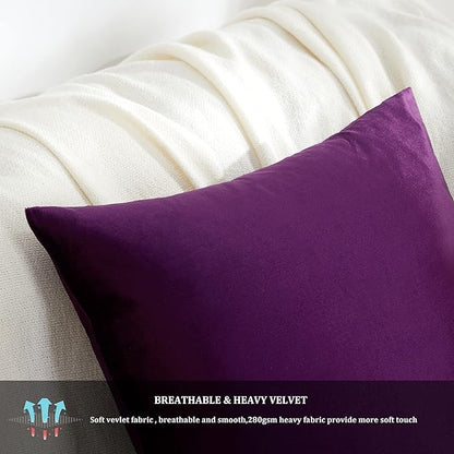 GIGIZAZA Purple Decorative Velvet Decorative 20x20 Throw Pillow Covers for Sofa Bed 2 Pack Soft Cushion Cover