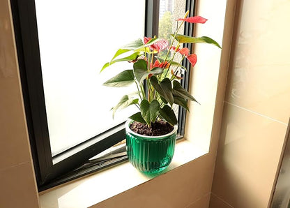 Meicynhoger 2-Pack Vintage Plastic Self-Watering Hanging Planters for Spider Plant,Ivy - 6.5" Clear Flower Pot with Hooks for Indoor Outdoor,Table, Balcony, Wall,Deck,Garden Green