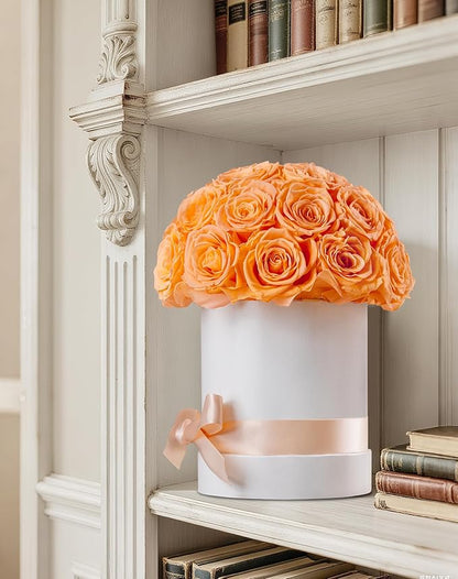 27 Forever Roses Dome in Luxury White Box, Eternal Real Roses Birthday Gifts for Women, Preserved Flowers for Delivery Prime, Anniversary, Valentine's Day, Mothers Day for Mom (Champagne)