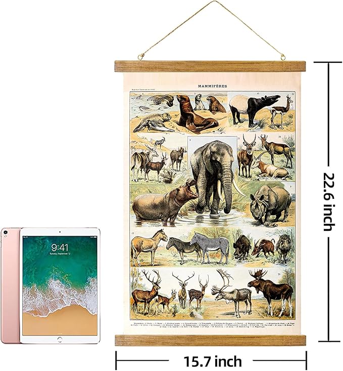 ABoby Vintage Illustrated Wildlife Chart Posters - Educational Animal Wall Art for Schools Homes - Retro Style Painting with Wood Frames