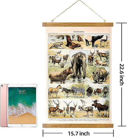 ABoby Vintage Illustrated Wildlife Chart Posters - Educational Animal Wall Art for Schools Homes - Retro Style Painting with Wood Frames
