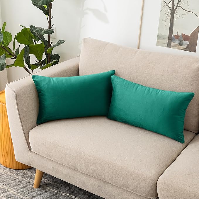 NiNi ALL Decorative Throw Pillow Covers Velvet 12x20 Inch Pack of 2 Teal Cushion Covers Soft for Couch Sofa Bedroom Living Room Outdoor