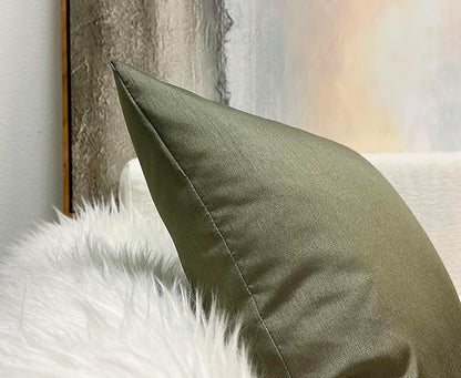 Aiking Home 20x20 Inches Faux Silk Square Throw Pillow Cover, Zipper Closure, Sage (Set of 2)