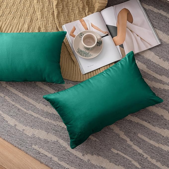 NiNi ALL Decorative Throw Pillow Covers Velvet 12x20 Inch Pack of 2 Teal Cushion Covers Soft for Couch Sofa Bedroom Living Room Outdoor