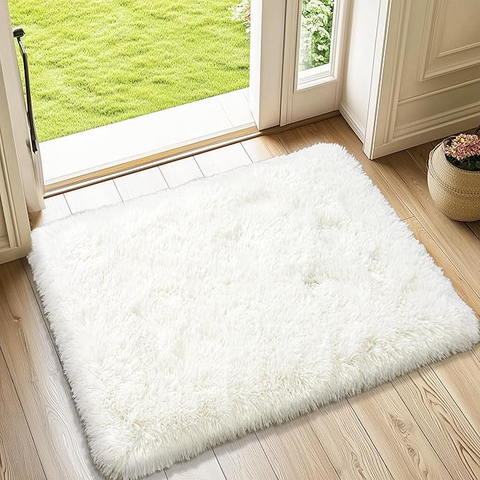 Small Rugs for Bedroom, 2x3 Soft Fluffy Fuzzy Area Rug, Non Slip Shag Rugs for Living Room Dorm Girls Boys, Kids Carpet Modern Home Decor Aesthetic, Cream White