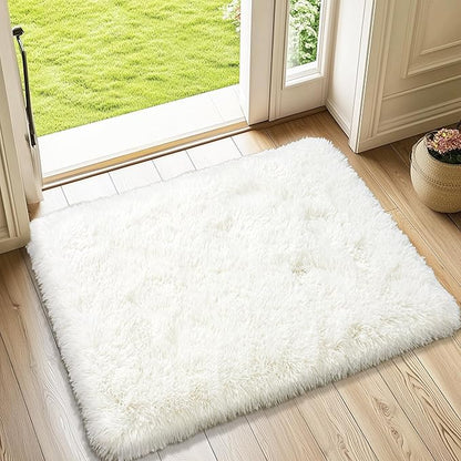 Small Rugs for Bedroom, 2x3 Soft Fluffy Fuzzy Area Rug, Non Slip Shag Rugs for Living Room Dorm Girls Boys, Kids Carpet Modern Home Decor Aesthetic, Cream White