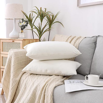 NiNi ALL Decorative Throw Pillow Covers Velvet 20x30 Inch Pack of 2 Cream White Cushion Covers Soft for Couch Sofa Bedroom Living Room Outdoor