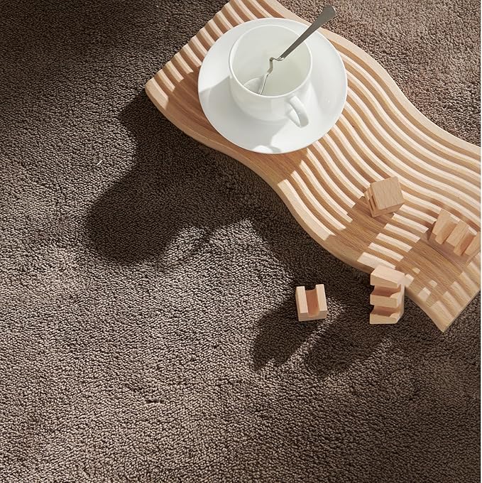 jinchan Solid Plush Area Rug 4x6 Performance Shaggy Washable Rug Indoor Soft Modern Faux Wool Cozy Non Slip Carpet for Living Room Kids Room Bedroom Dining Room Nursery Brown